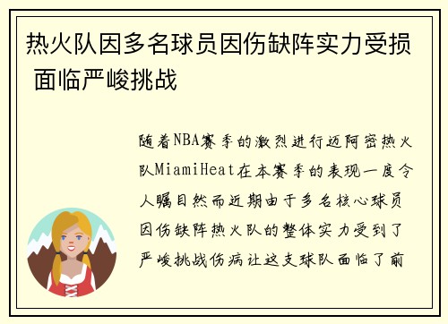 热火队因多名球员因伤缺阵实力受损 面临严峻挑战